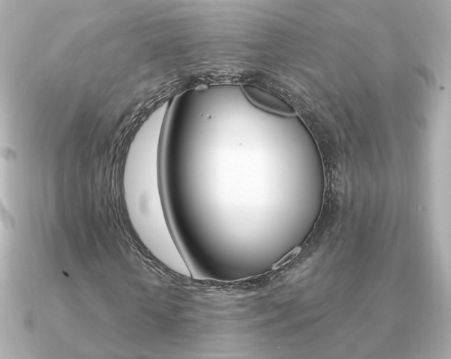 X0000091190818200708091020