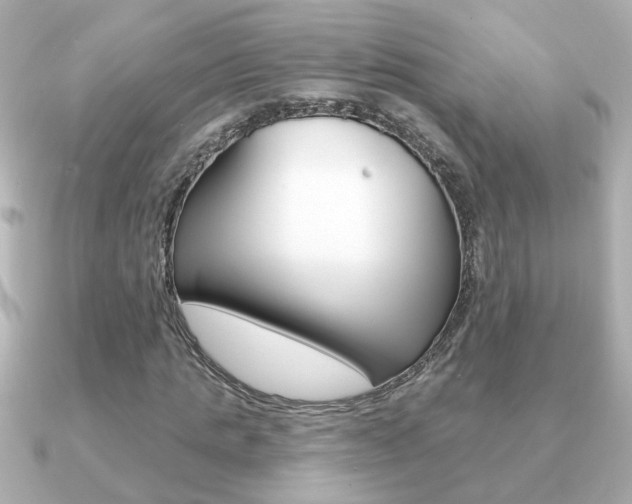 X0000091190821200708091020
