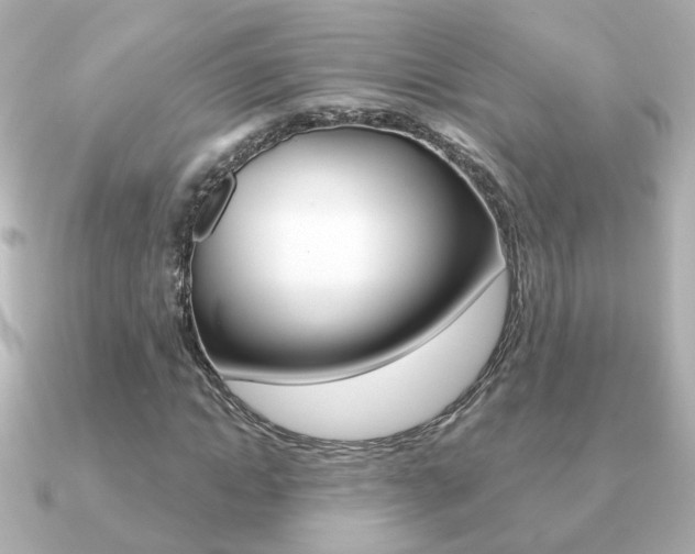 X0000091190822200708091020