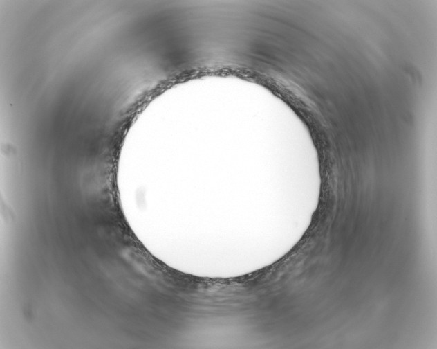 X0000091190824200708091020