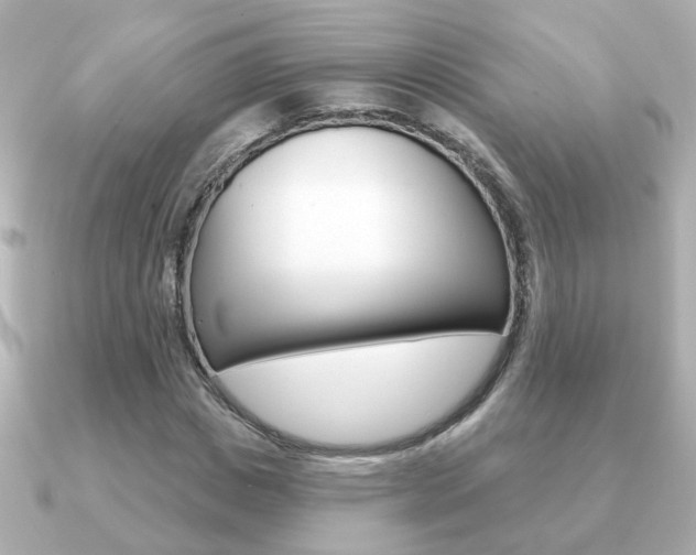 X0000091190825200708091021