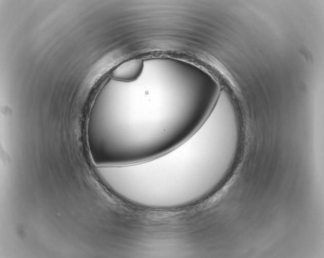 X0000091190826200708091021