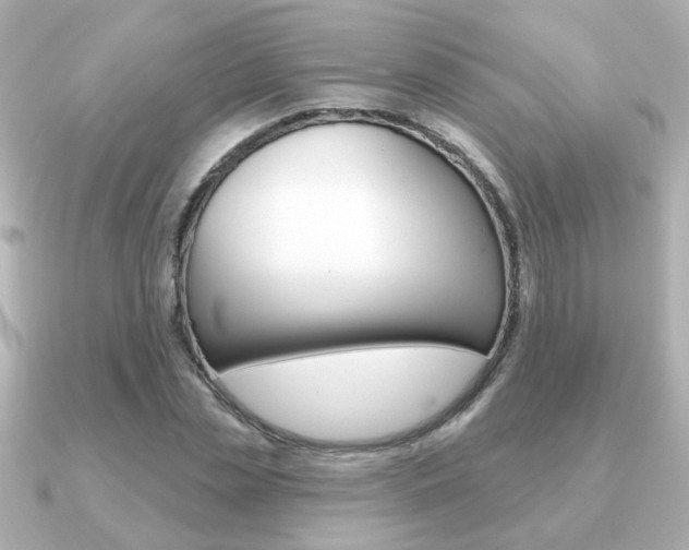 X0000091190829200708091021