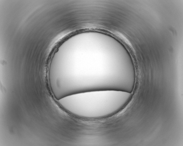 X0000091190831200708091021