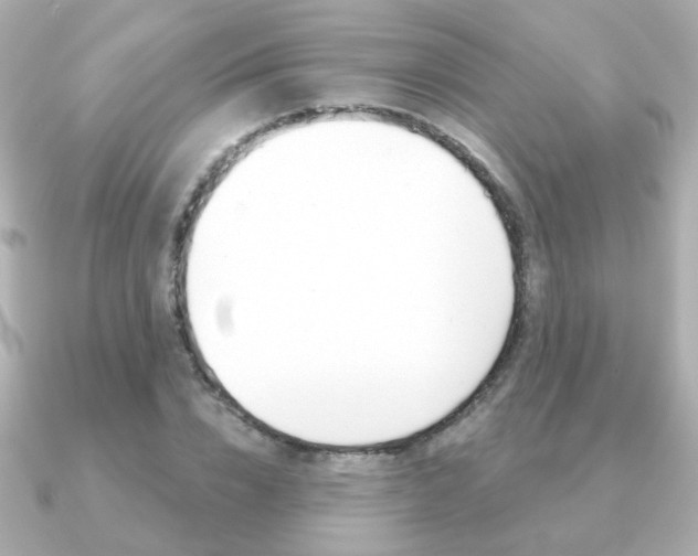 X0000091190832200708091021