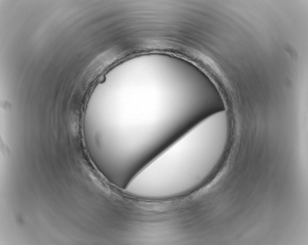 X0000091190833200708091021