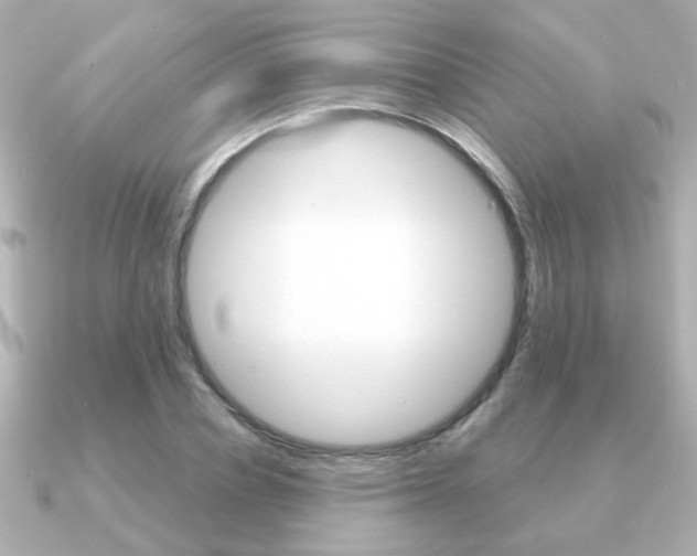 X0000091190834200708091021