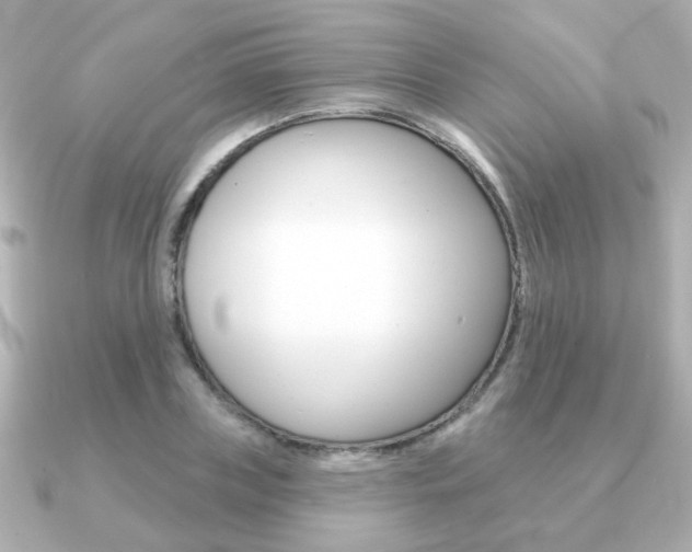 X0000091190835200708091021