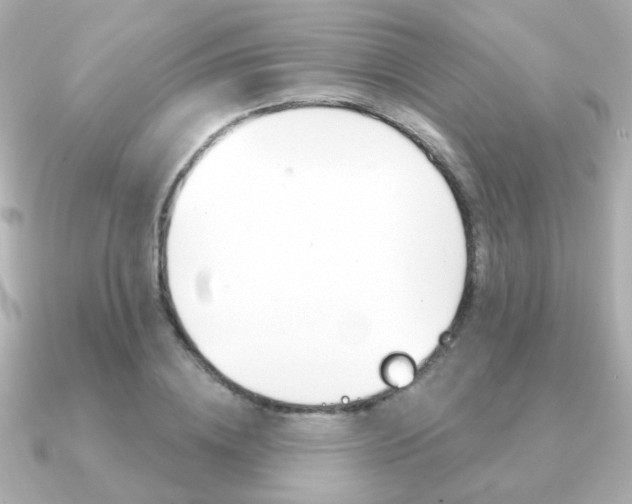 X0000091190836200708091021