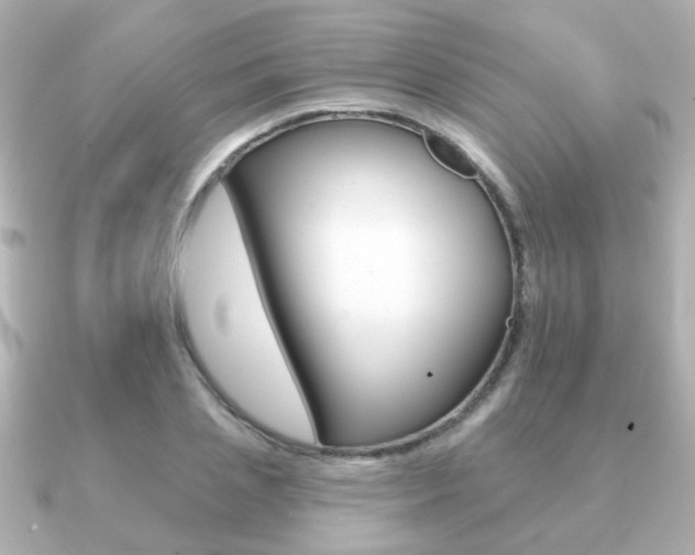 X0000091190837200708091021