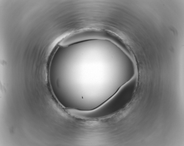 X0000091190838200708091021