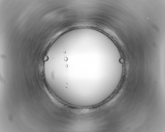 X0000091190841200708091021