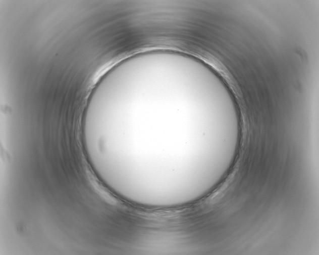 X0000091190842200708091021