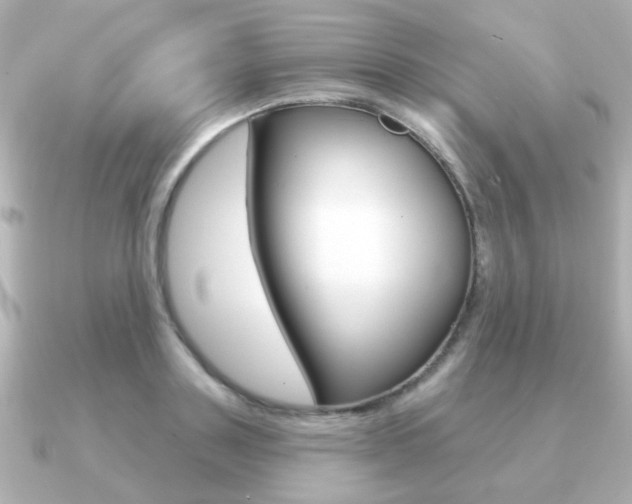 X0000091190843200708091021