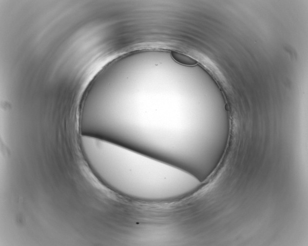 X0000091190844200708091021