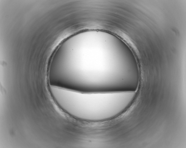 X0000091190845200708091021