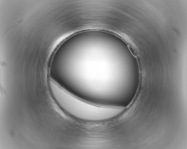 X0000091190846200708091021