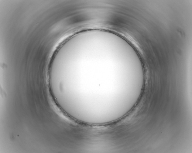 X0000091190848200708091021