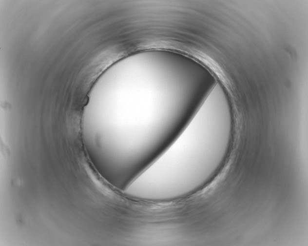 X0000091190849200708091021