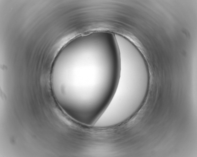 X0000091190850200708091021