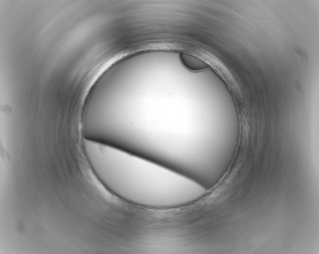X0000091190852200708091021