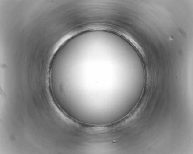 X0000091190853200708091021