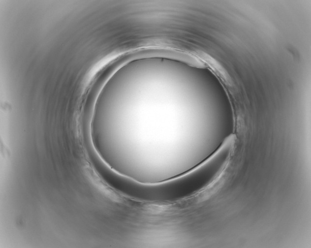 X0000091190854200708091021