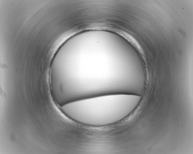 X0000091190855200708091021