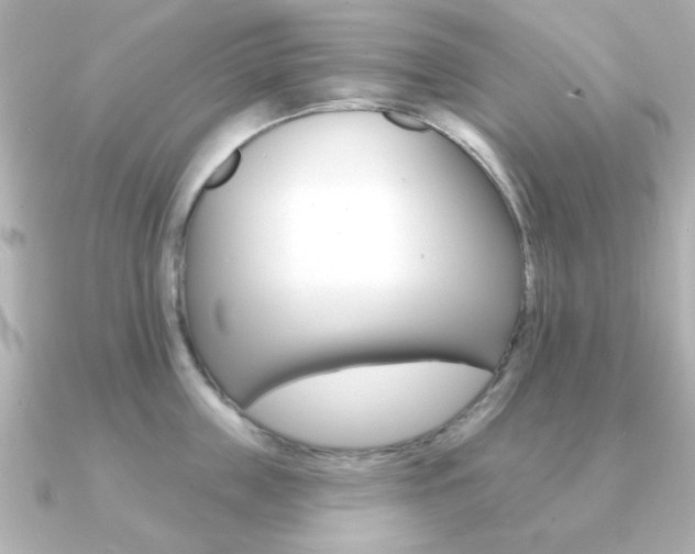X0000091190859200708091021