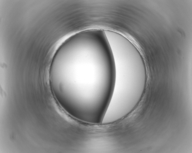 X0000091190862200708091021