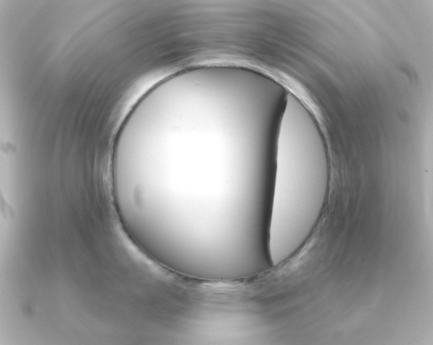 X0000091190863200708091021