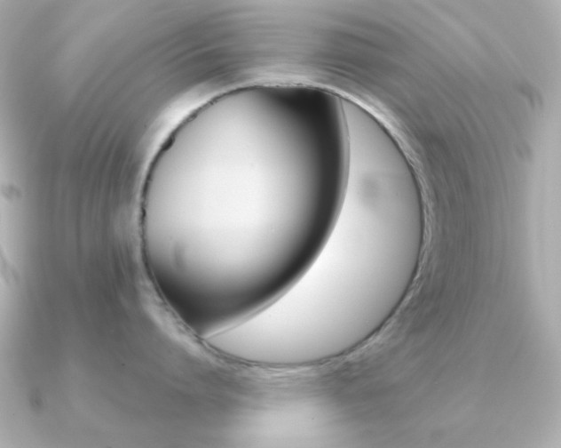 X0000091190864200708091021