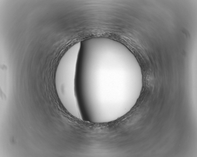 X0000091190865200708091020