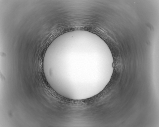 X0000091190866200708091020