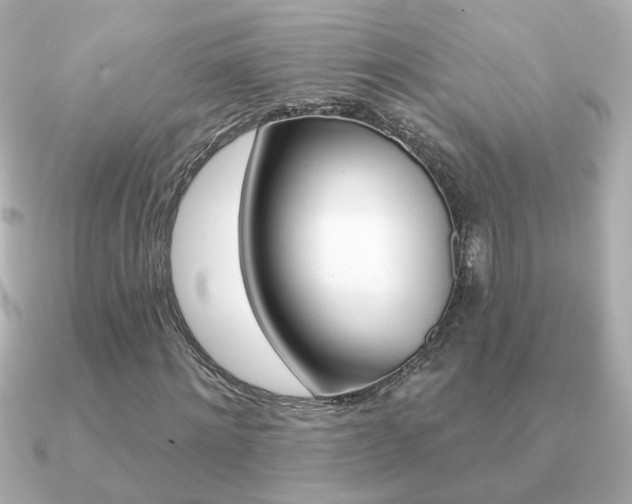 X0000091190868200708091020
