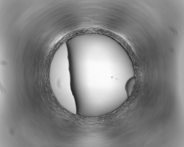 X0000091190871200708091020