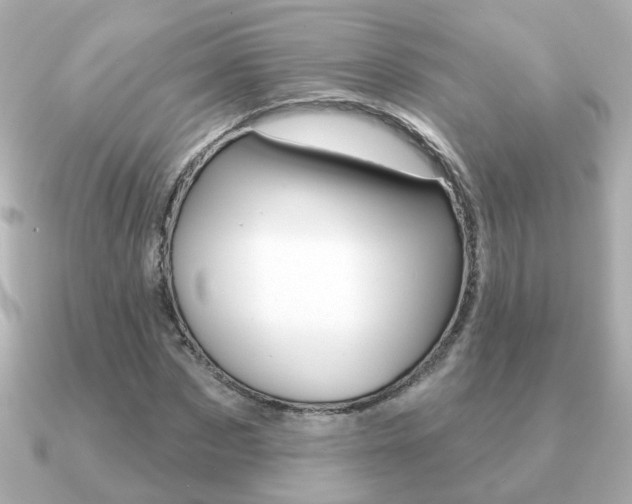 X0000091190873200708091020