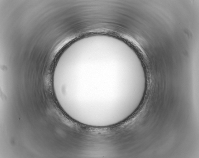 X0000091190874200708091020