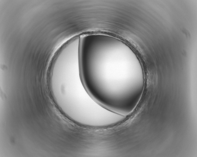 X0000091190876200708091020