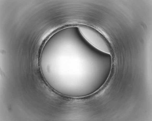 X0000091190877200708091020