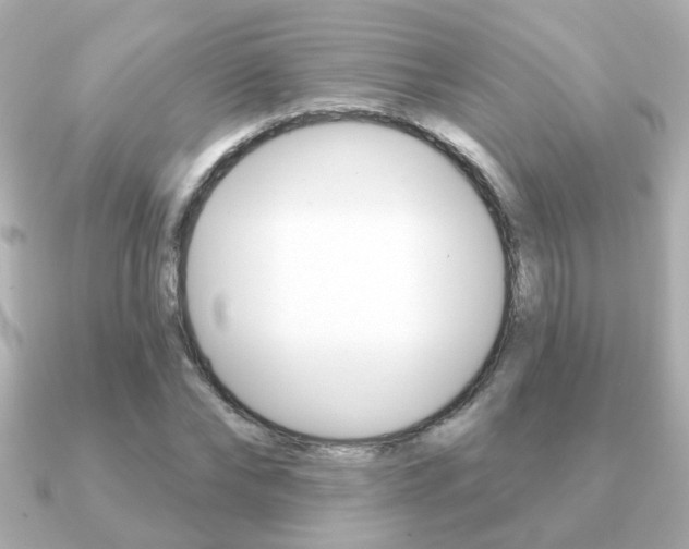X0000091190878200708091020