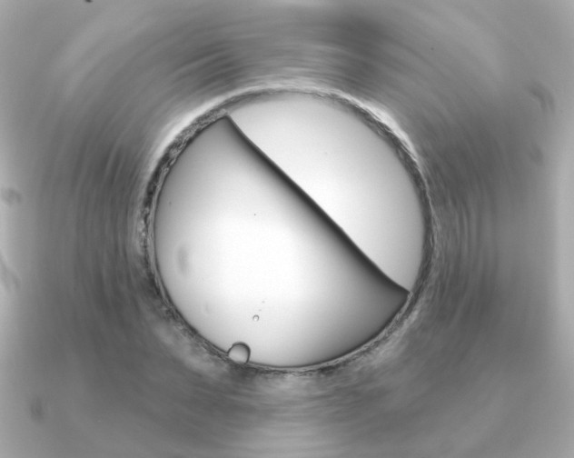 X0000091190879200708091020