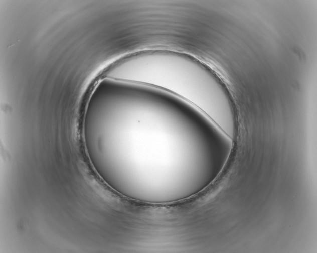 X0000091190880200708091020