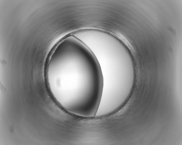 X0000091190884200708091020