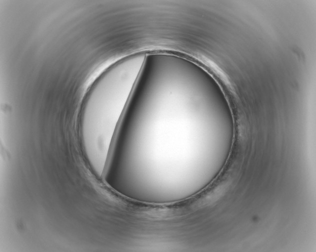 X0000091190885200708091020