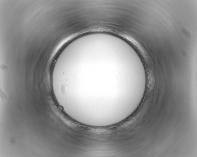X0000091190886200708091020