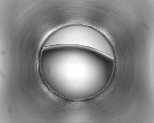 X0000091190888200708091020