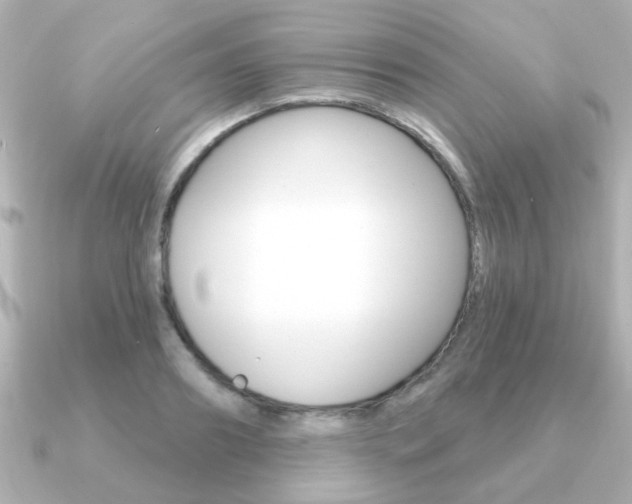 X0000091190890200708091020