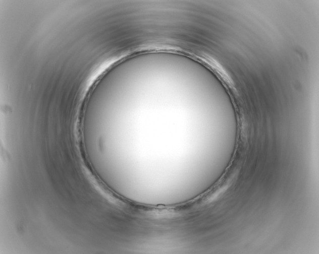 X0000091190893200708091020