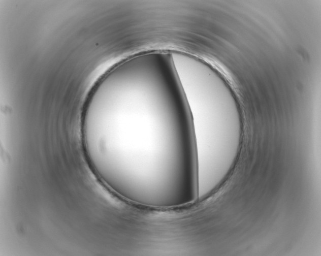X0000091190894200708091020